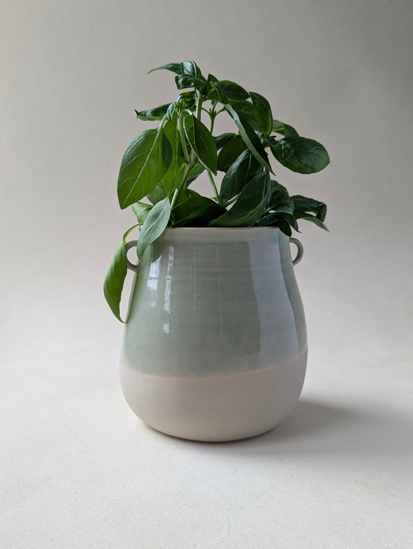 Jar with ears