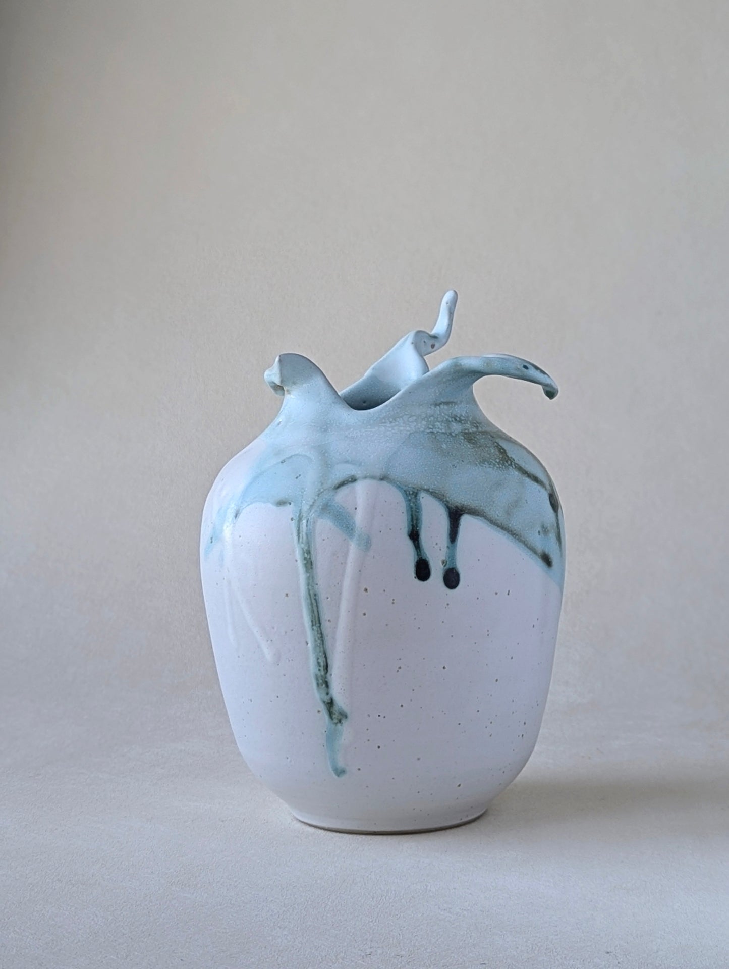 Rosehip vase