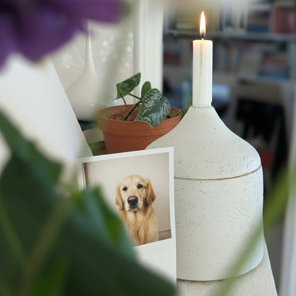 NÄRA – En plats i hemmet för din vän